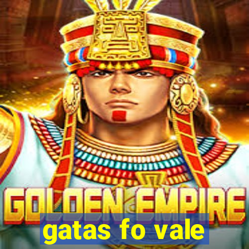 gatas fo vale